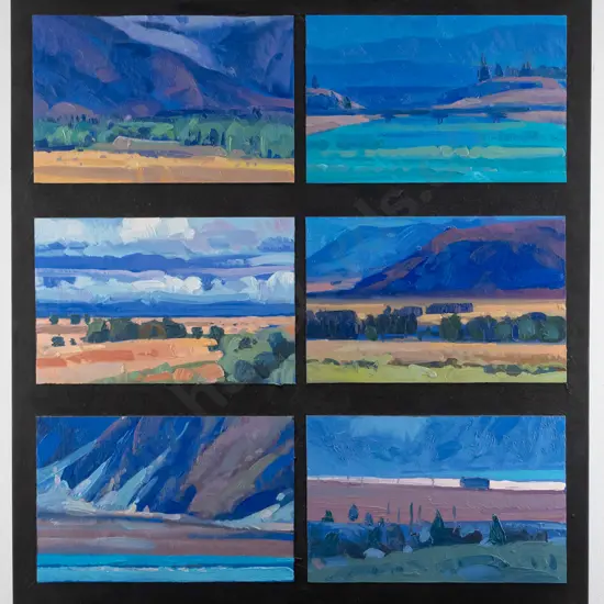 Tom Field '97 - mounted oil on board "Summer morning in the Mackenzie Country" H-610 W-500