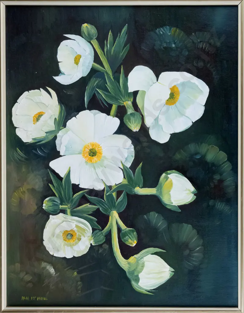 Ian McNeil - framed oil - flowers H-440 W-340 Image 1++