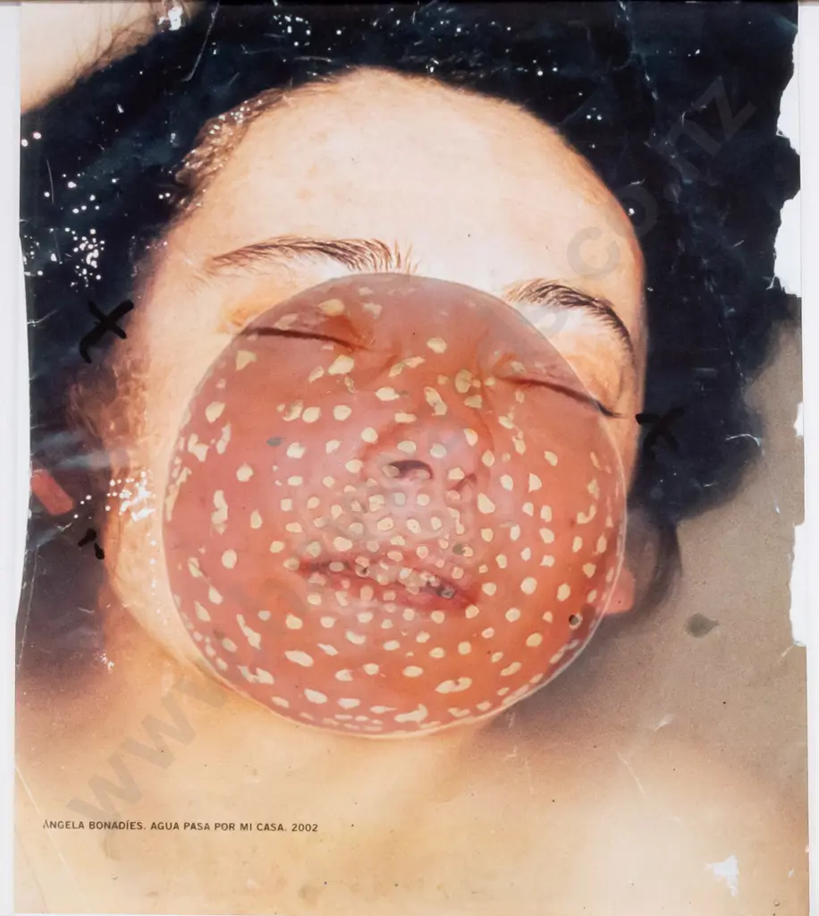 Ben Webb - unframed AP Edition 5 - untitled (slight creasing) H-630 W-490 Image 1++
