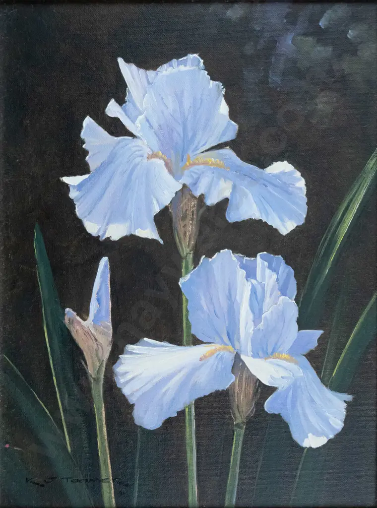 KJ Toomer - framed oil - irises H-3250 W-240 Image 1++