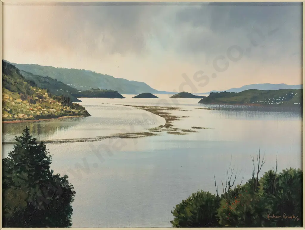 Graham Brinsley '91 - framed oil on board - Otago Harbour H-440 W-580 Image 1++