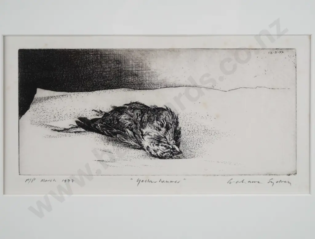 Grahame Sydney 1977 - framed etching A/P "yellow hammer" H-90 W-200 (very slight foxing) Image 1++