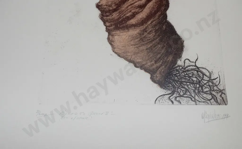 Denise (Dee) Copland '99 - framed etching "Bound To Grow II" H-310 W-180 Image 1++