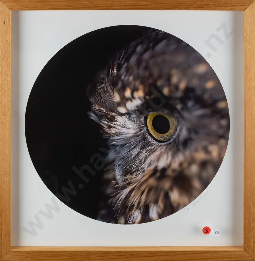 Derek Morrison 2022 - framed photograph 1/10 - bird's eye Diam - 340 Image 1++