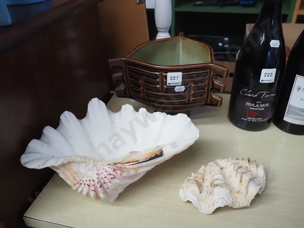 ikebana vase, 2 seashells Image 1++