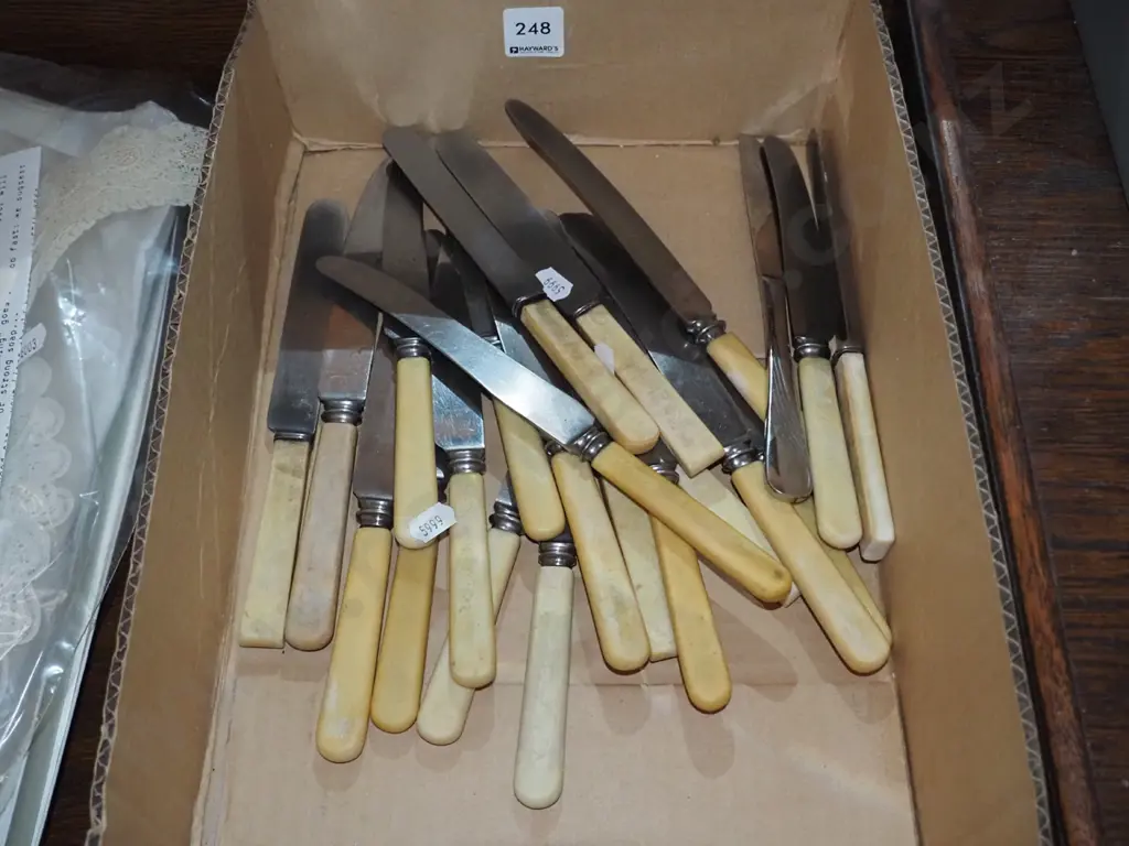 box; bone handled knives - poor condition Image 1++
