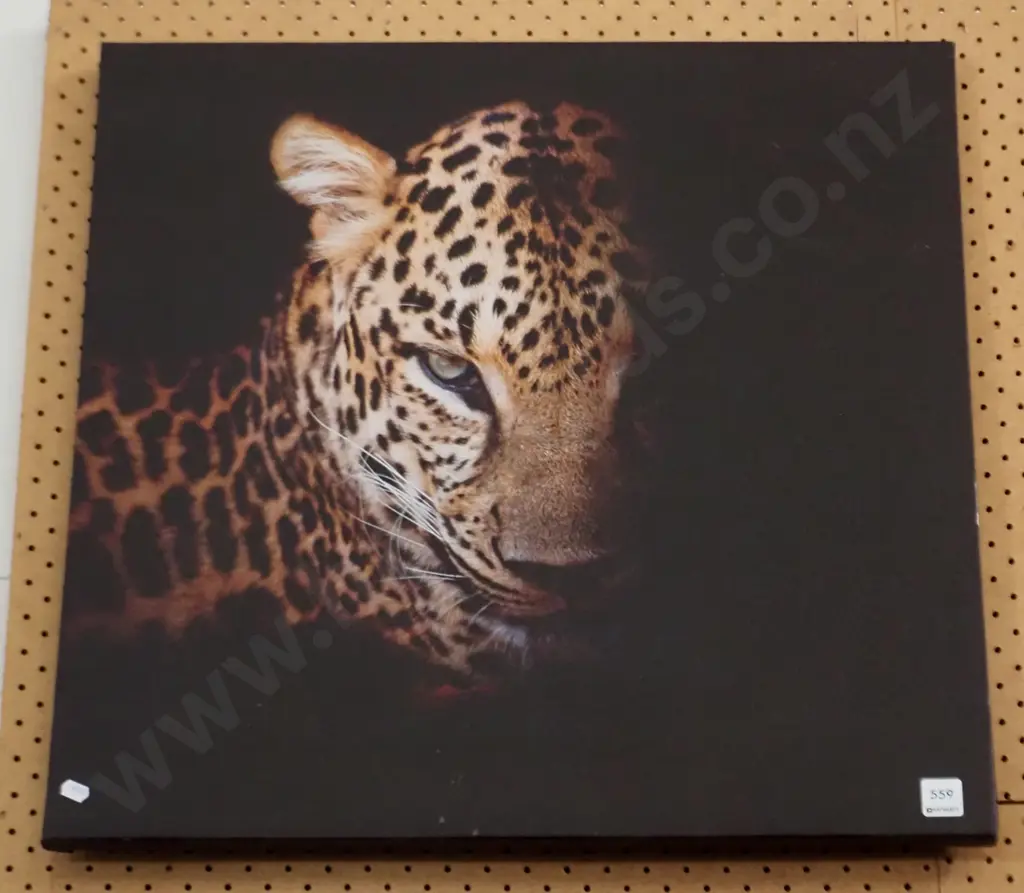 photo print on boxed canvas - leopard Image 1++