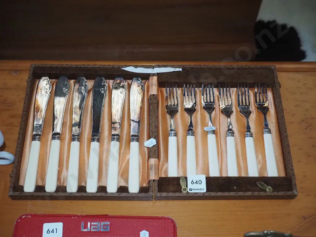 cased bone handled fish set Image 1++