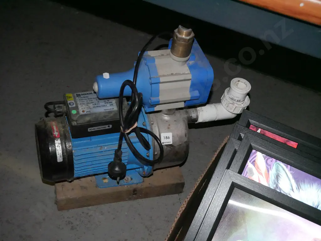 electric Goules inline pump Image 1++