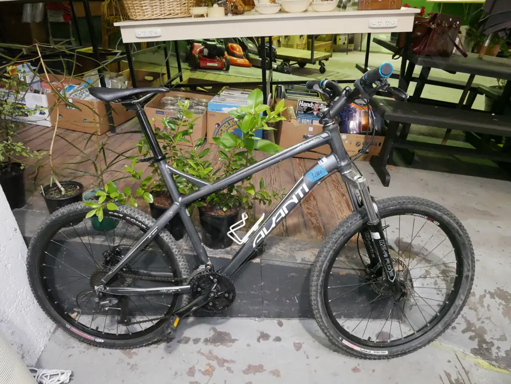 Avanti Ridge Rider mountain bike Image 1++