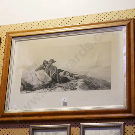 burr wood framed etching - Examining the Surrounds