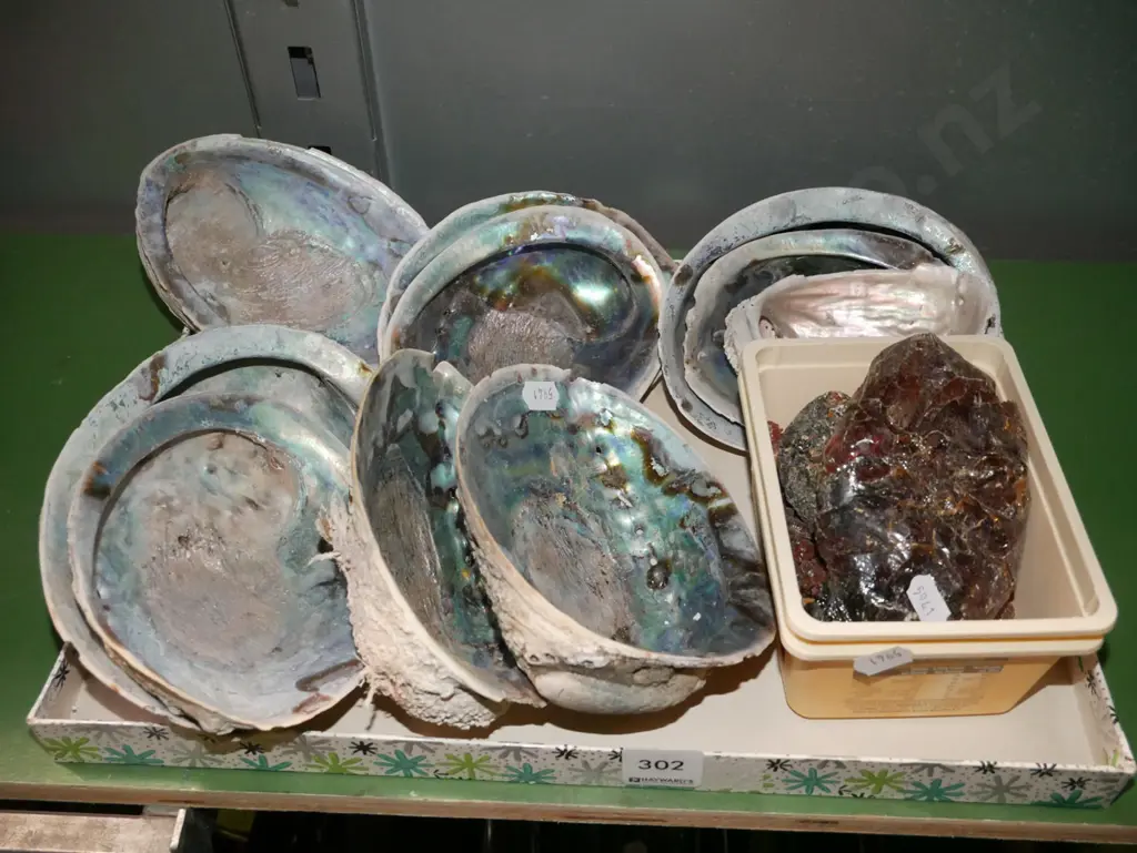 paua shells and kauri gum Image 1++