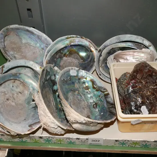 paua shells and kauri gum