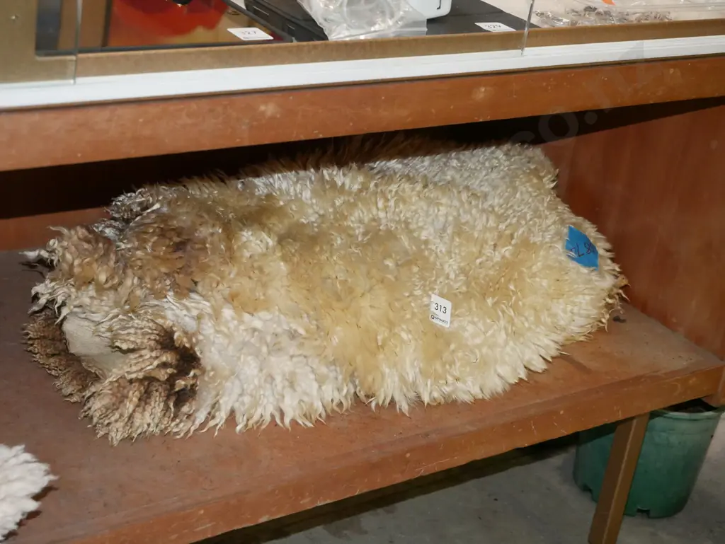 sheepskin Image 1++