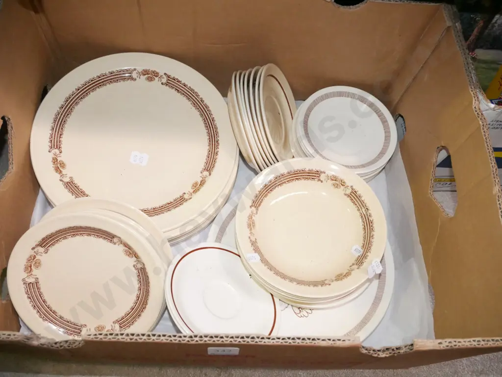 box; Crown Lynn Sienna Rose plates, bowls etc Image 1++