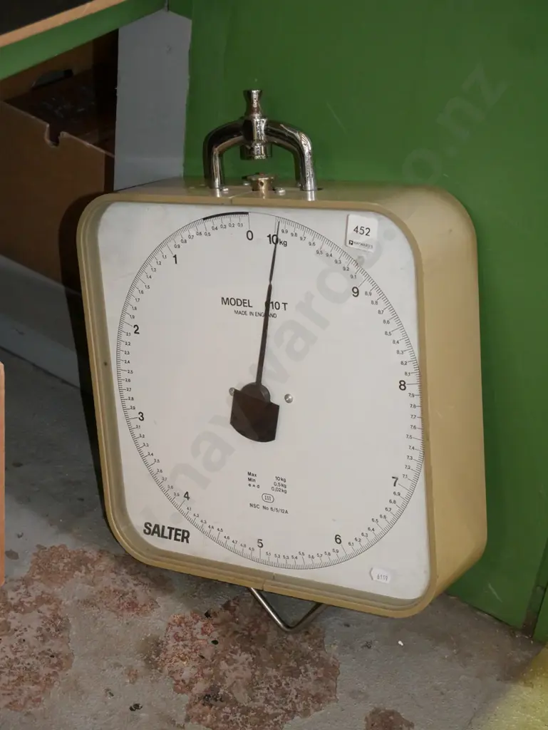 Salter hanging spring scales - no basket Image 1++