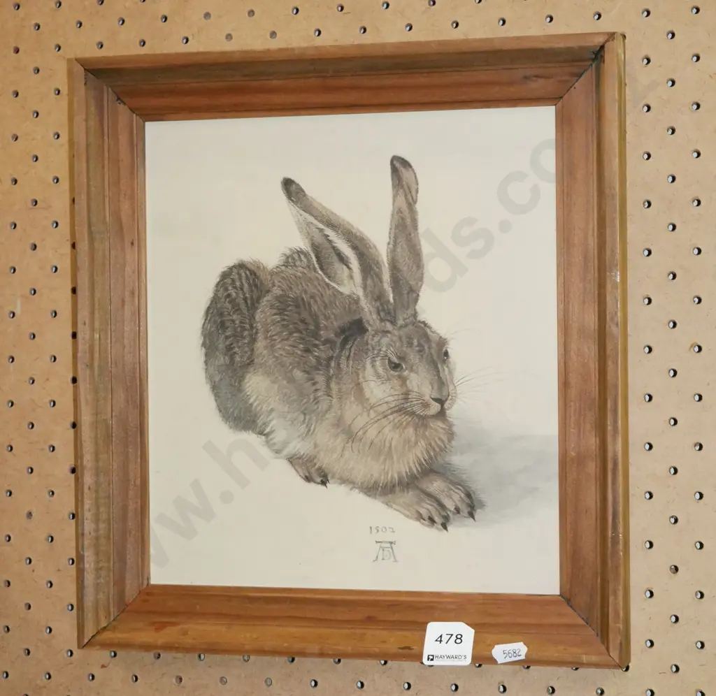 framed Durer print - hare Image 1++