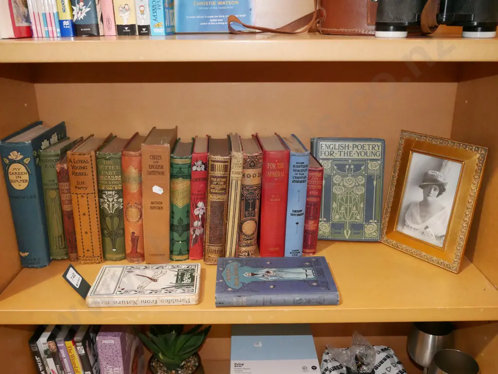 shelf of vintage books etc Image 1++