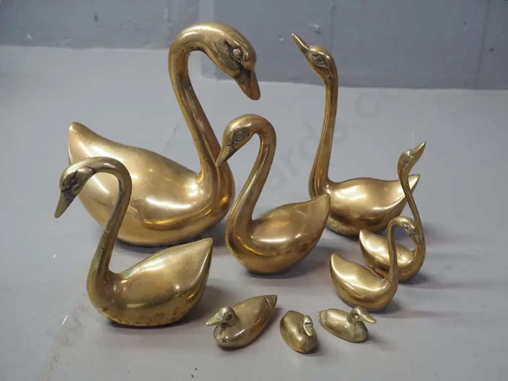 12 solid cast brass birds - 9 swans and 3 miniature ducks, largest swan H-150 L-140 Image 1++