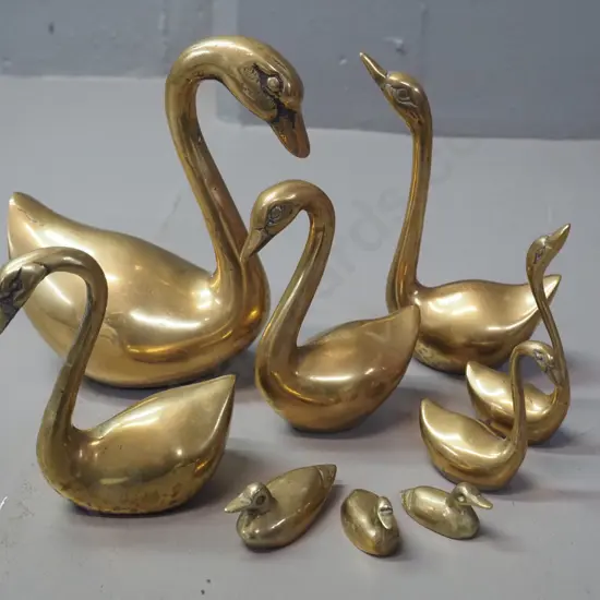 12 solid cast brass birds - 9 swans and 3 miniature ducks, largest swan H-150 L-140