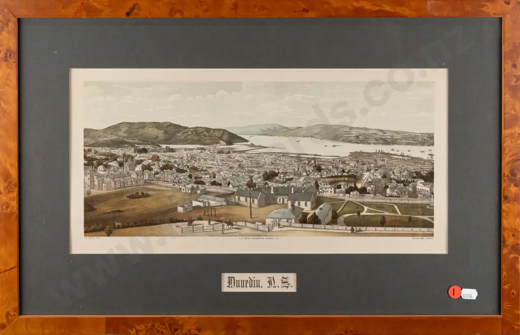 framed vintage print - Dunedin H-165 W-370 Image 1++