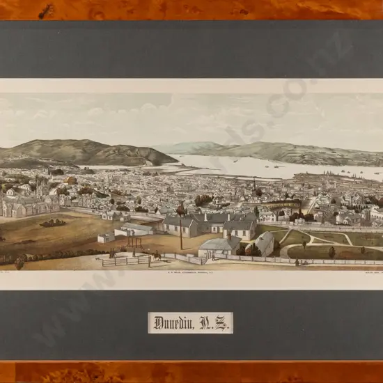 framed vintage print - Dunedin H-165 W-370