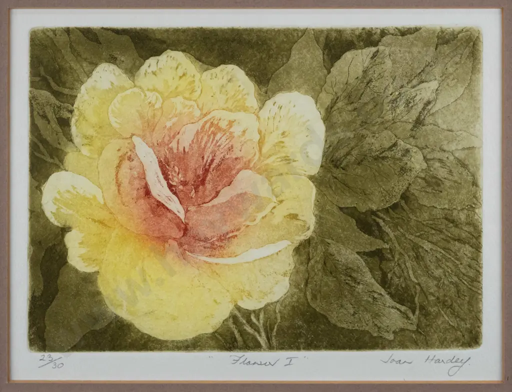 Joan Hardy - framed ltd edition print 23/30 "Flower I" H-170 W-240 Image 1++