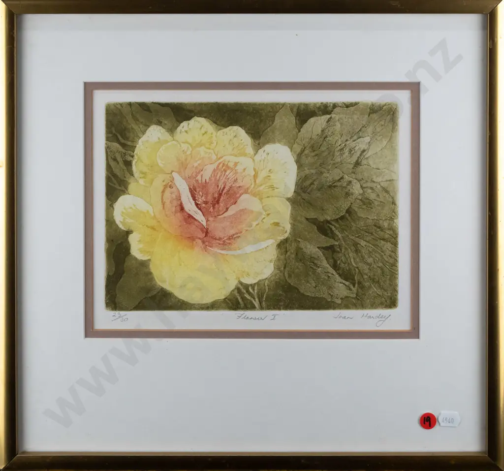 Joan Hardy - framed ltd edition print 23/30 "Flower I" H-170 W-240 Image 1++