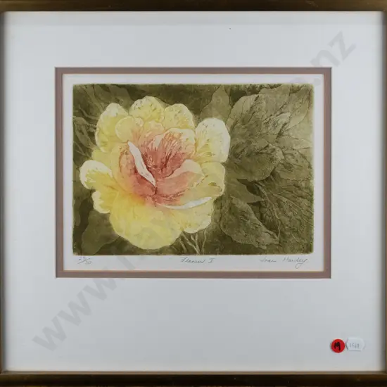 Joan Hardy - framed ltd edition print 23/30 "Flower I" H-170 W-240
