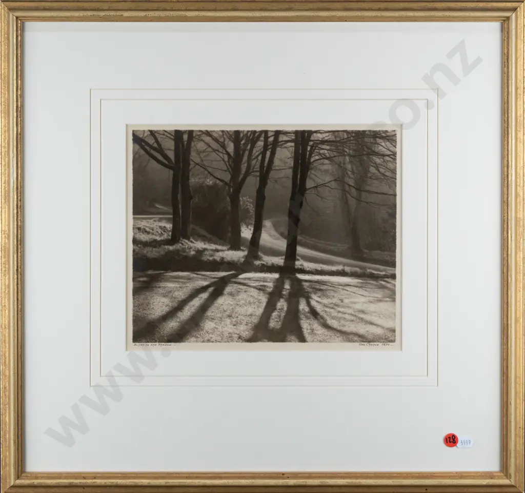 George Chance - framed vintage photograph "Sunshine and Shadow" H-210 W-250 Image 1++