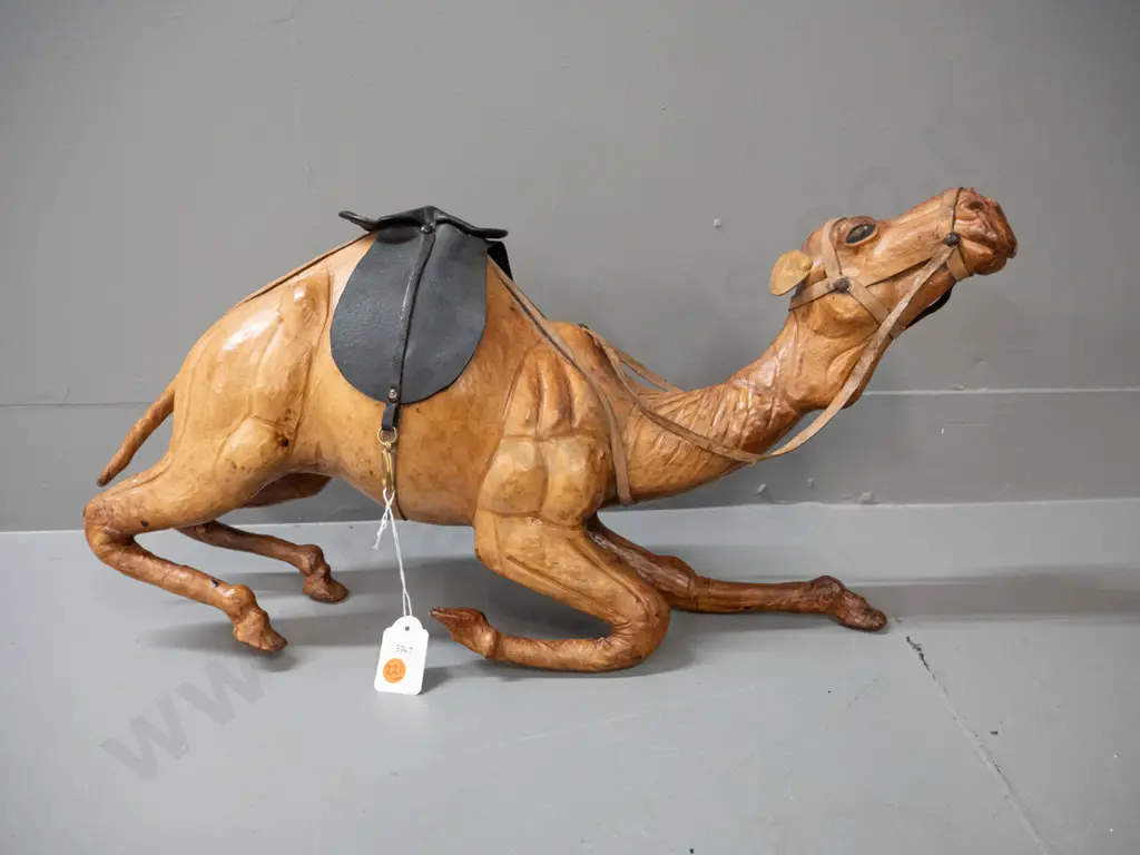 leather covered kneeling camel figure with saddle and bridle - wear to nose H-250 L-550 Image 1++