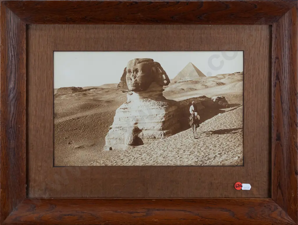 framed vintage photographic print - Sphinx H-210 W-340 Image 1++