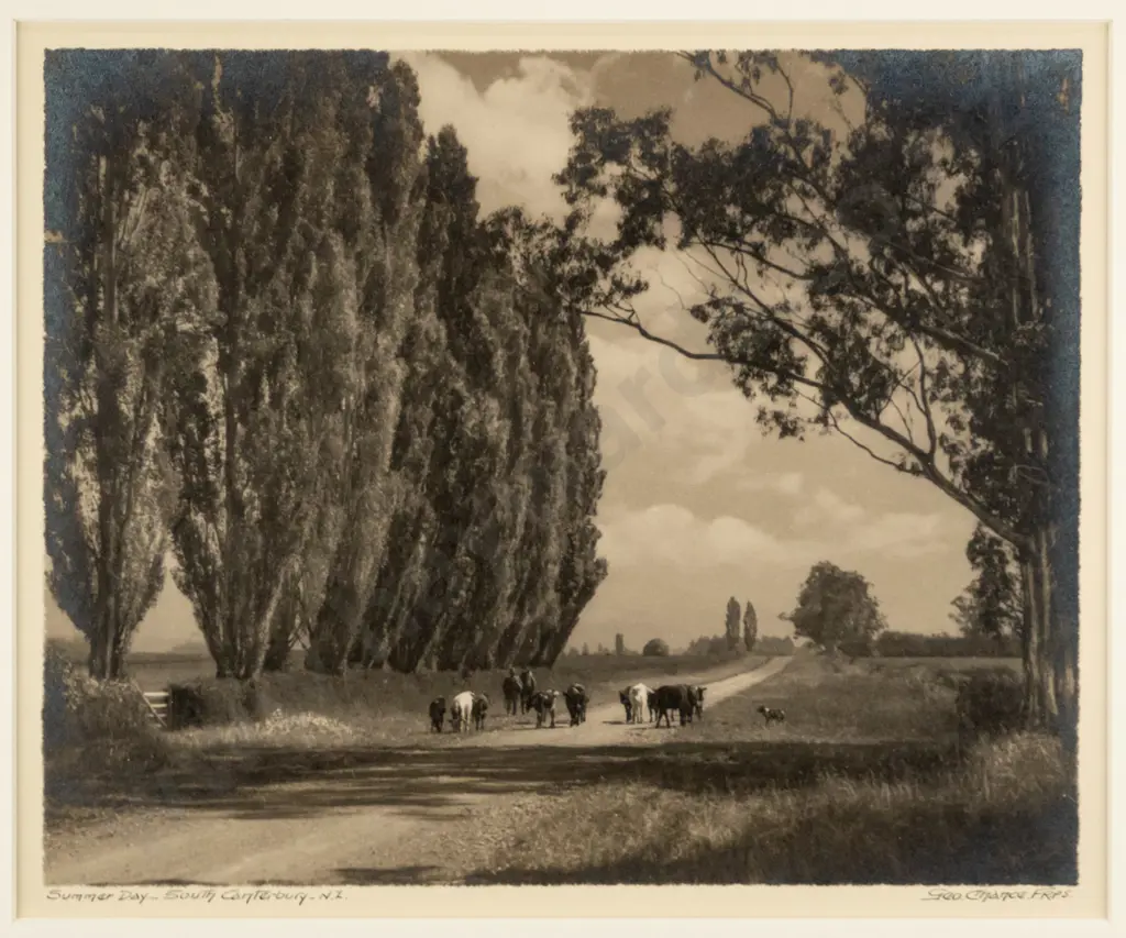 George Chance - framed vintage photograph "Summer Day - South Canterbury" H-210 W-250 (slight silvering) Image 1++