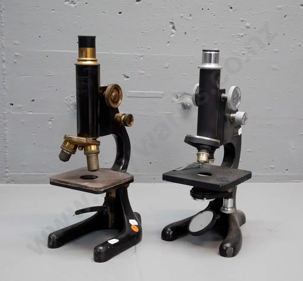 2 vintage laboratory microscopes - one marked George Wilton & Co Wellington / Chapman & Alldridge / Otago University Image 1++