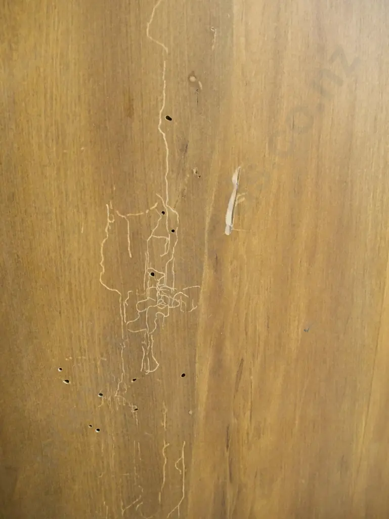 vintage rimu bedside cabinet with shaped gallery and turned spindles, panelled door with metal drop handle, one shelf, Image 1++