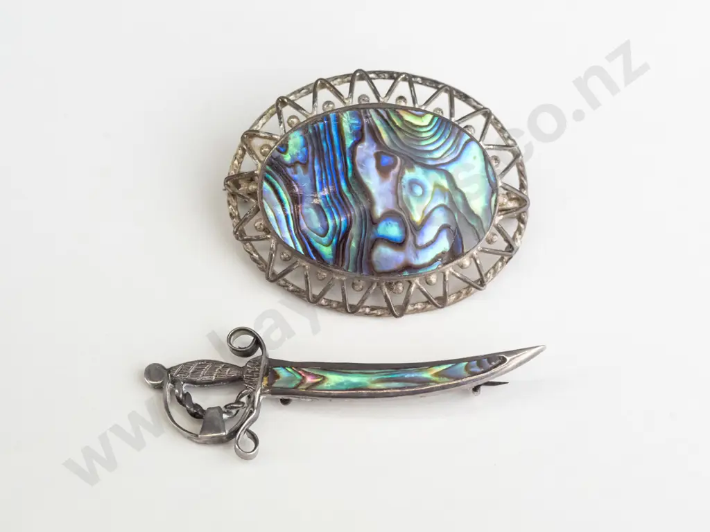 2 paua shell brooches Image 1++