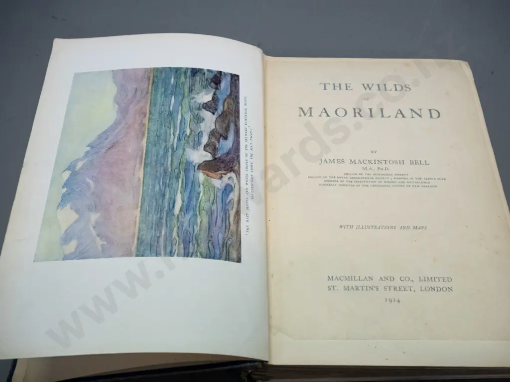 Book: The Wilds of Maoridom - James Mackintosh Bell, Macmillan & Co. 1914 - wear and staining, no just jacket Image 1++