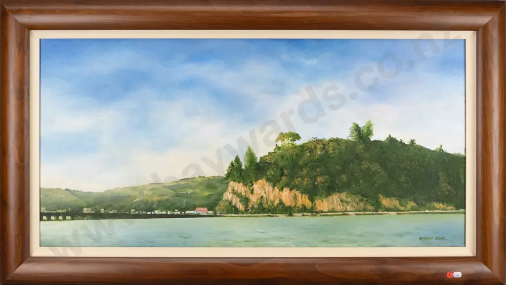 Andrew Cook - framed oil on canvas landscape H-440 W-900 Image 1++