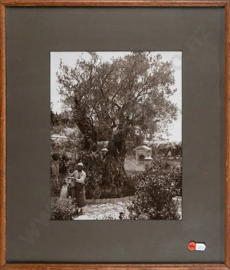 framed vintage photograph - Middle Eastern scene? H-280 W-220 Image 1++
