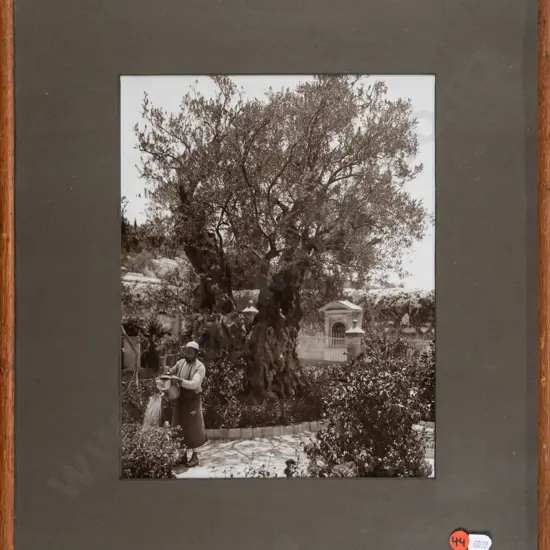 framed vintage photograph - Middle Eastern scene? H-280 W-220