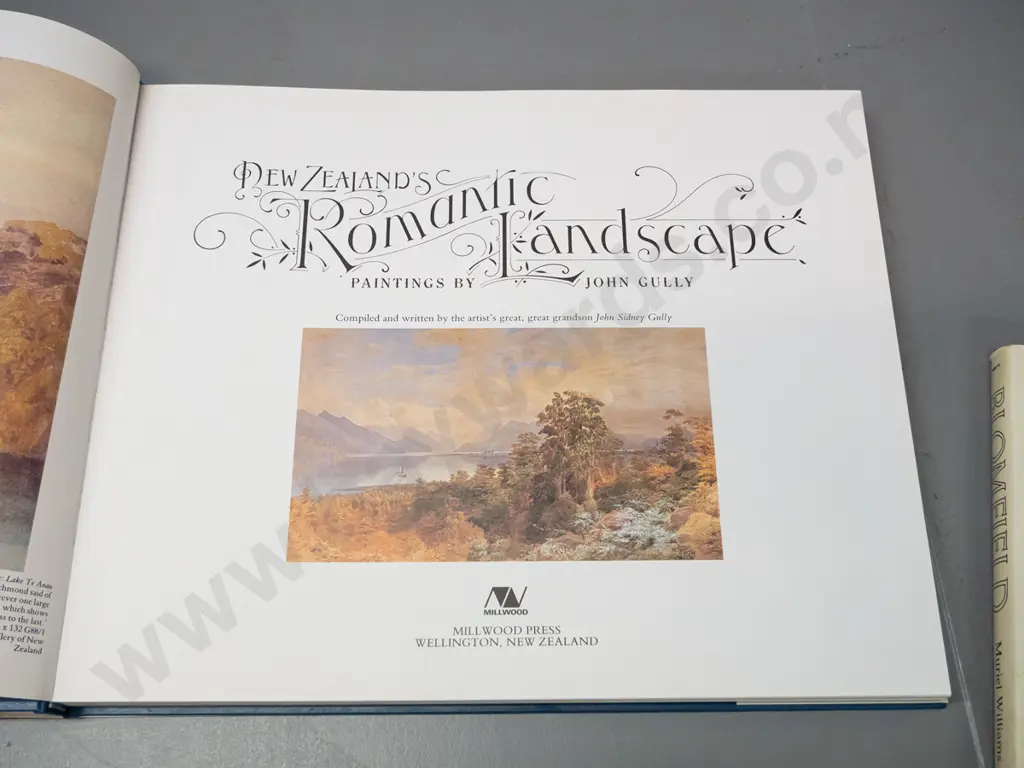 2 art books - John Gully / New Zealand Romantic Landscape 1984 & biography of Charles Bloomfield, 1980 reprint - some Image 1++