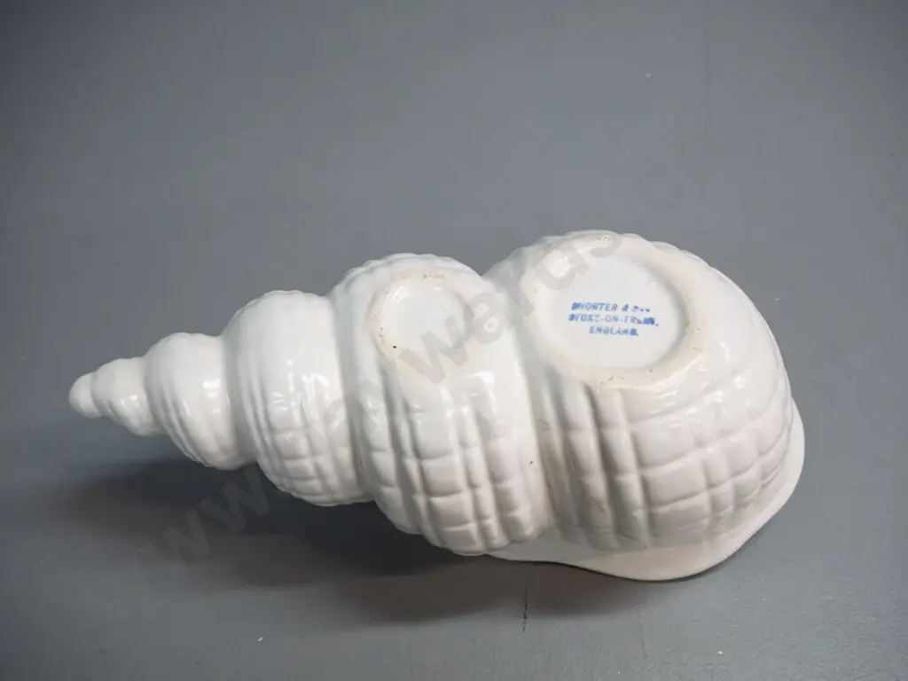 Shorter & Son shell vase H-130 L-300 Image 1++