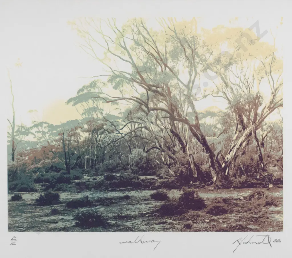 framed ltd edition print 2/12 "Walkway" H-260 W-230 Image 1++