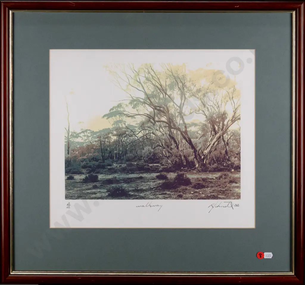 framed ltd edition print 2/12 "Walkway" H-260 W-230 Image 1++