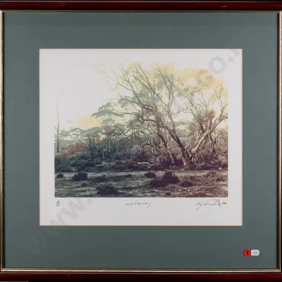 framed ltd edition print 2/12 "Walkway" H-260 W-230