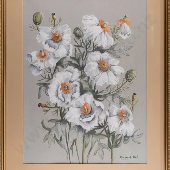 Margaret Bell - framed pastel "Romeny  - tree poppy" H-510 W-380