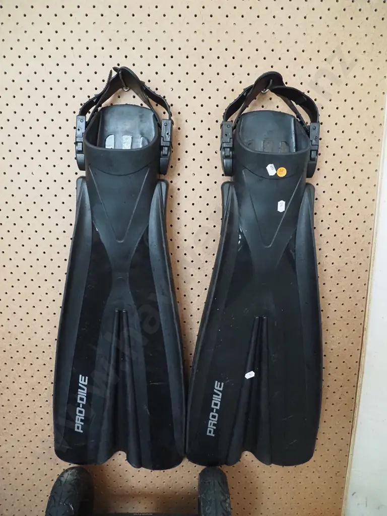 pair of Pro Dive fins Image 1++
