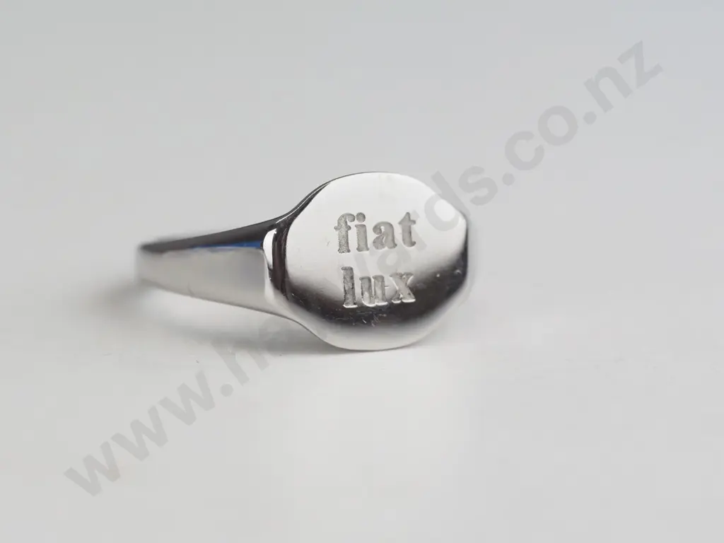 Stainless steel silver ring Image 1++