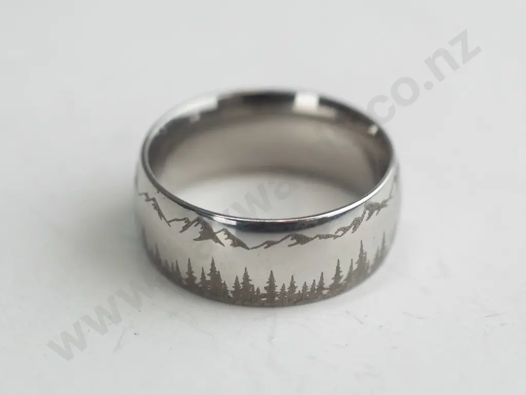 Silver Ring Image 1++