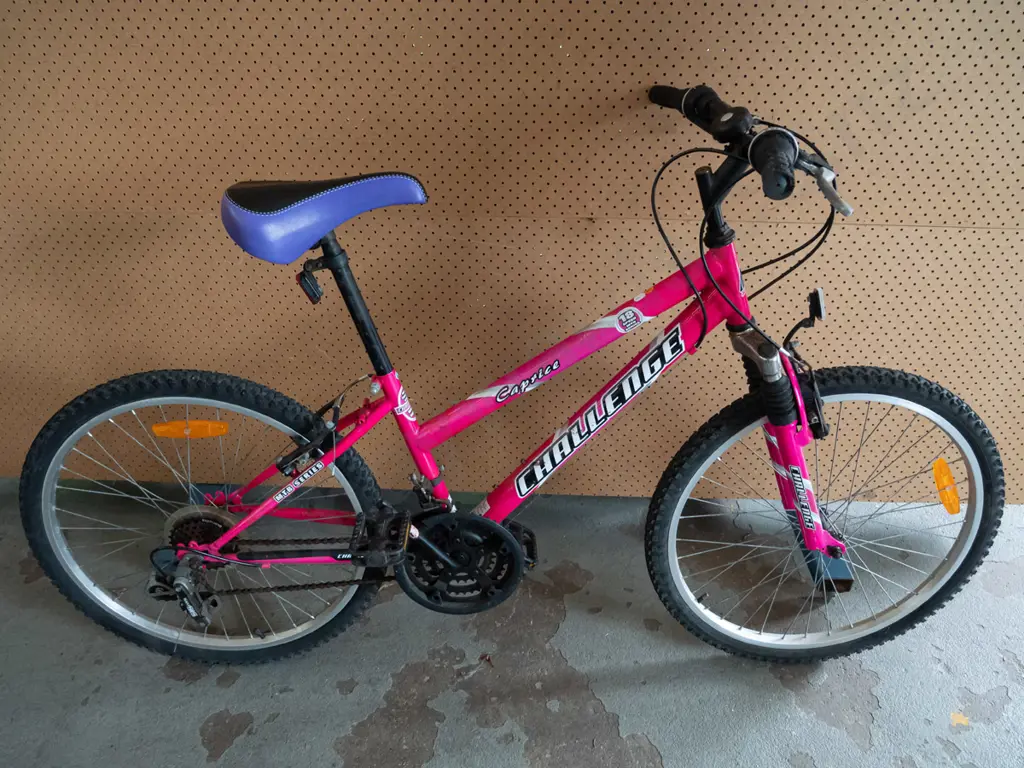 Pink 'Challenge' Bike Image 1++